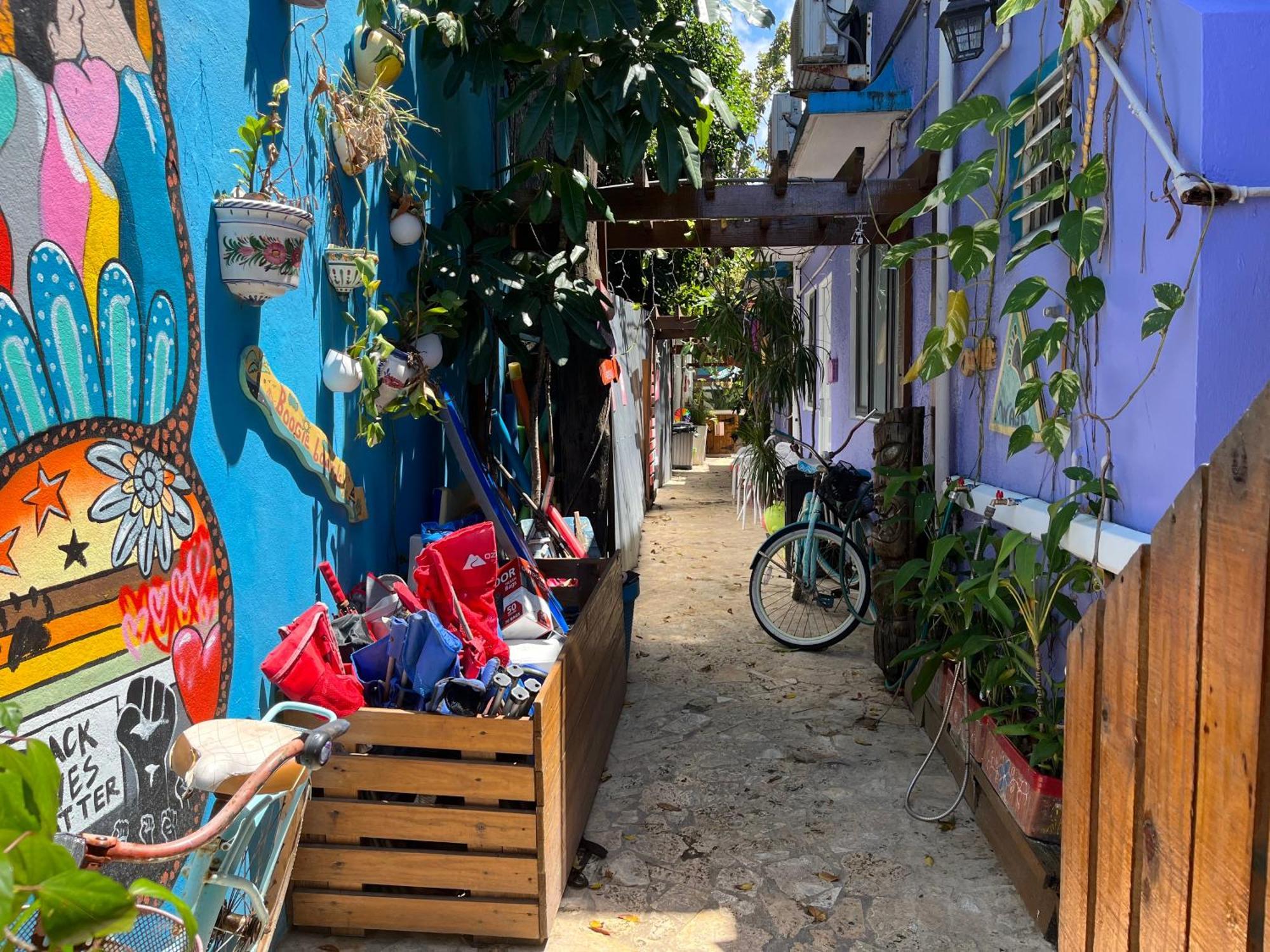 Lower Price, More Style, Discount Studio In San Juan,Pr, Beach, Free Bikes (Adults Only) Eksteriør billede
